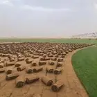 ثيل سي الفين درجه اولى