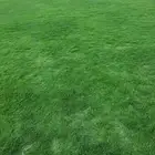 ثيل طبيعي سي الفين