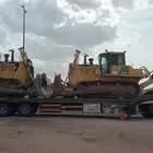 لوبد متواجد في جده