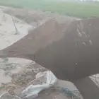 محراث حراثه
