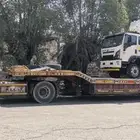 لوبد موجود دامام