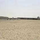 مطلوب شقة 5 غرف او اكثر بالدمام
