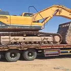 لوبد متواجد في حفرالباطن رفحاء الرفيعة