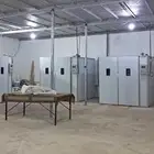 لمشاريع انتاج الصوص فقاسات اوتماتيك