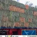 رودس تبوك