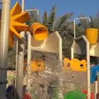 الأحساء المبرز