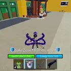 حساب روبلكس بلكس فروت