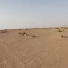 للبيع ارض في مخطط الخير بالرياض