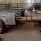 قلصين للبيع