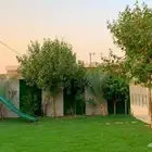 استراحة القصور للإيجار اليومي
