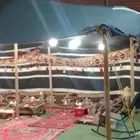 بيت شعر قطبة عمدان خشب شغل النعيرية 7 6 مربع