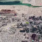 نخل تجاري للبيع