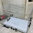 اغراض قطط للبيع