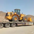 شيول كتربلر