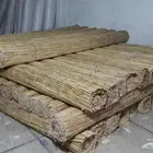 خيزران جلسات