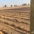 بلدوزرللاجارتعقيم وتسويه