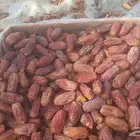 يوجد لدينا تمر