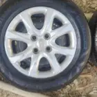 جنوط سواح