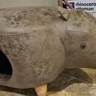 بيت قطط او كلام وحيد القرن