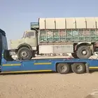 متوفر علااي مكان