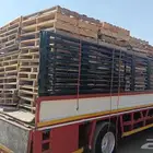 دينا ايجار 4.5ميتر