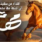 تنفيذ شيلات مدح
