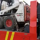 بوب كات للايجار نيوم