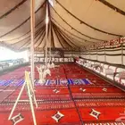 تاجير خيام بيوت شعر وخيام عاديه وخيام الشعبيه وخيام اوروبيه