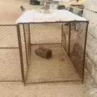 للبيع شبك دجاج
