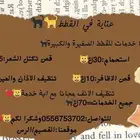 خدمات قطط