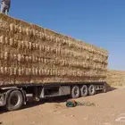 الطائف
