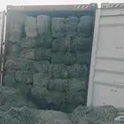 برسيم صافي مستورد من مصر