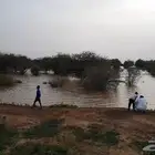 الكل