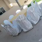 قهوجي الرياض