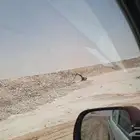 فورمين كسارات اومشرف مواقع