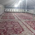 تاجير اخيام وبيت الشعر