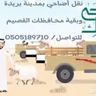 نقل اضاحي بسعر مناسب جدا
