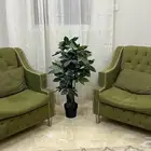 كنب