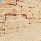 تبن قمح ناعم شد ووزن