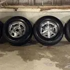 جنوط يوكن الاحساء