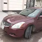 التيما 2010