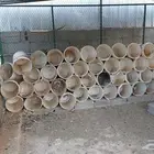 للبيع سطول بويه