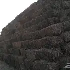دخن للبيع