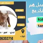 قسط ذبيحتك على اربع دفعات