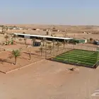 مزرعة للبيع مساحتها 50.000 الف متر في عودة سدير