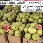 رمان الباحه بيده