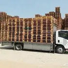 طبليات