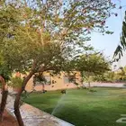 مزرعة فجر للايجار