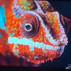 gaming monitor 32inch 2K 165Hz