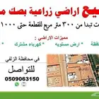 الزلفي للبيع